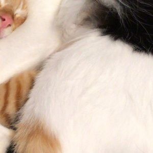 Meet your Posher, Nancy